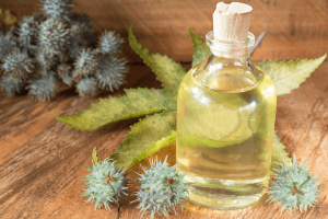 4 máscaras naturais para ter sobrancelhas mais grossas