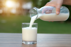 9 fontes de proteína barata