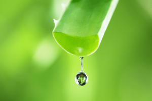 Máscara de aloe vera