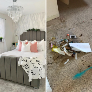 A Incrível História de uma Mulher que Transformou um Imóvel em uma Residência Encantadora