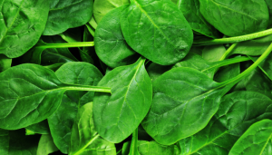 7 motivos para adicionar espinafre à sua dieta