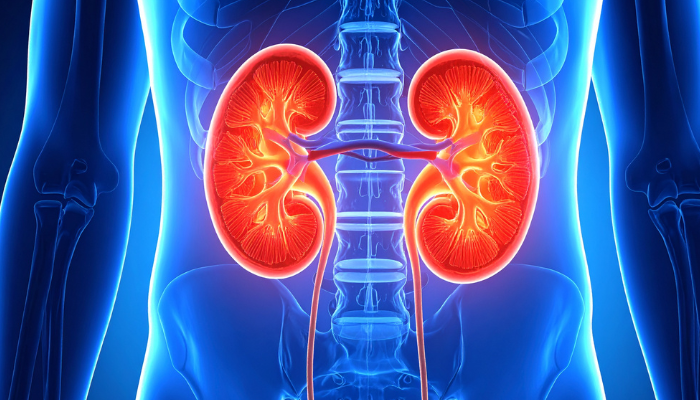Infecção urinária: 5 sinais de que o quadro é grave