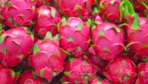 10 Benefícios da Pitaya que Vão Transformar sua Alimentação