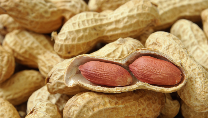 Benefícios do amendoim: saiba como esse alimento melhora sua saúde