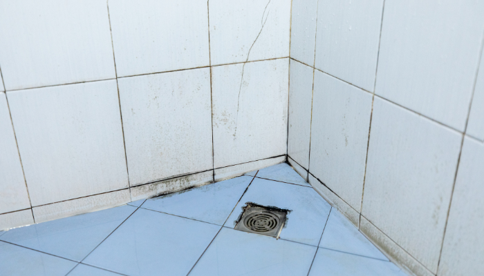 Como eliminar o mofo da parede do banheiro sem água sanitária e vinagre