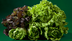Quais são os alimentos que são bons para o cabelo?