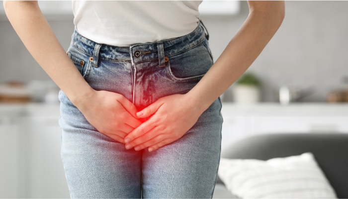 Anatomia do sistema urinário e assoalho pélvico relacionado à incontinência urinária leve