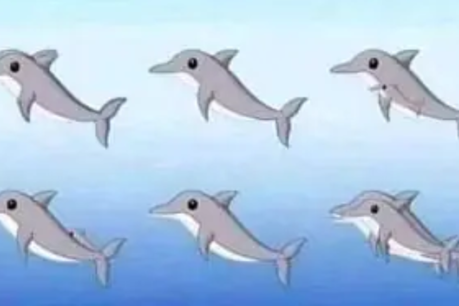 Desafio visual: quantos golfinhos você consegue encontrar?
