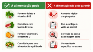 Alimentos que aumentam as plaquetas: o que comer?